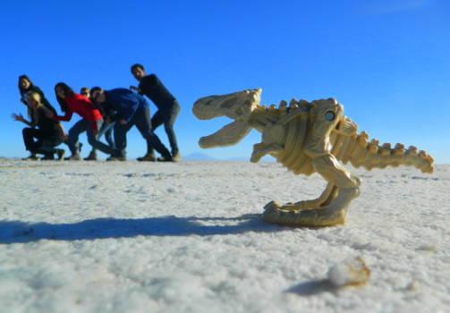 Salar de Uyuni - Op de vlucht