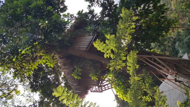 Cartagena - Boomhut naast tayrona nationale park,  colombia