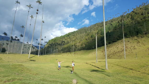 Cartagena - Valle de cocora!!