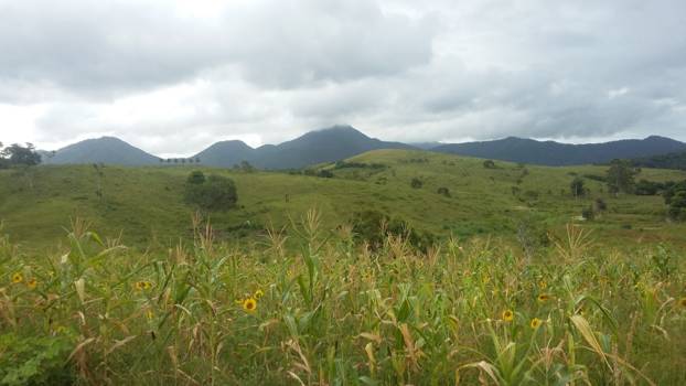 Rio de Janeiro - dal van de vale gier in Rio.