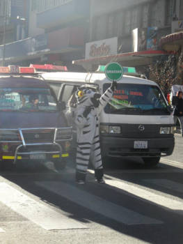 La Paz - Verkeersregelaar in La Paz