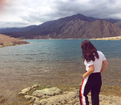 Andesgebergte - Las montañas