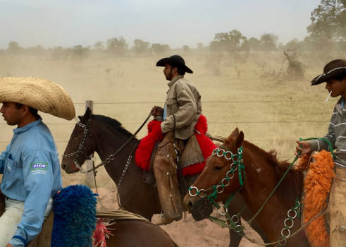 Brazilië - Man en paard...