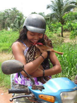 Suriname - Bambi op de scooter