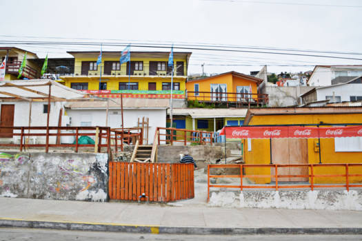 Chili - Guanaqueros Coquimbo
