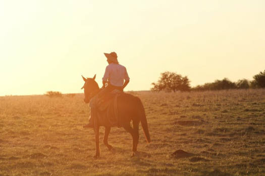 Argentinië - Sunset at the pampa at a ranch in Argentina