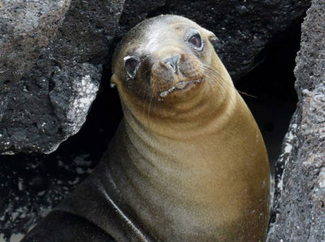 Galápagos eilanden - It's a beautiful day