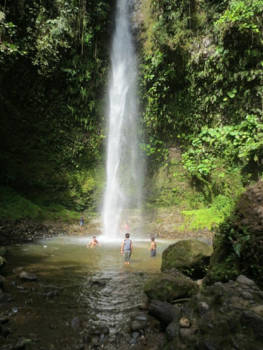 Ecuador - Jungle in Puyo, Ecuador