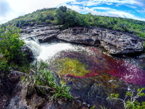 Colombia - Rainbow river: Caño Cristales