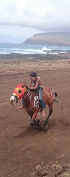 Paaseiland - Paardenraces tijdens het festival. Schitterend om te ervaren.
