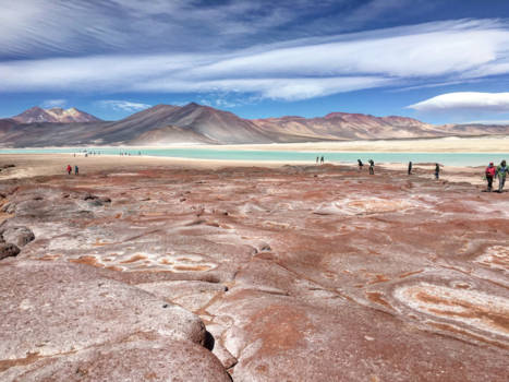 San Pedro de Atacama - Onaardse plaatjes in de Atacama woestijn