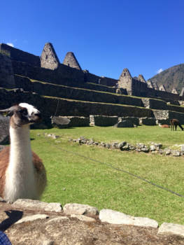 Peru