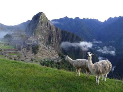 Machu Picchu - Locals