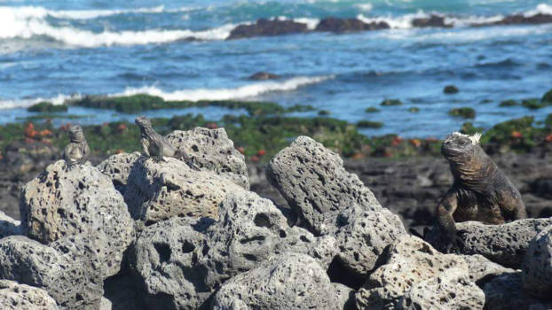 Galápagos eilanden - BeautyFull view