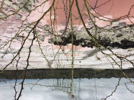 Galápagos eilanden - Zoutvlakte in de buurt van Las Grietas, Santa Cruz Island