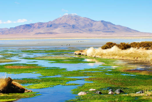 Chili - Colorful lake