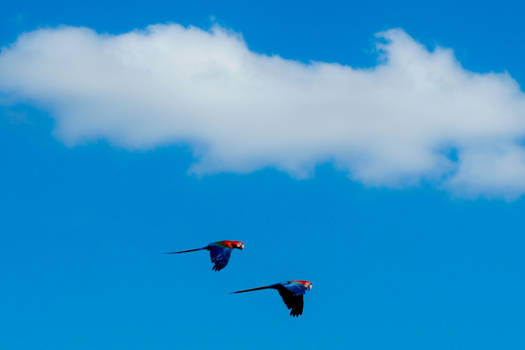 Chapada Diamantina National Park - Samen sterk