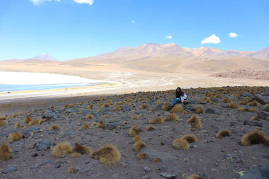 Salar de Uyuni - Wildplassen