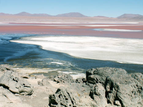 Bolivia - Laguna Colorada Potosi