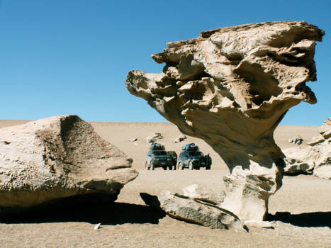 Bolivia - 'Stenen boom' (el arbol de piedra) in Laguna Colorada National Park