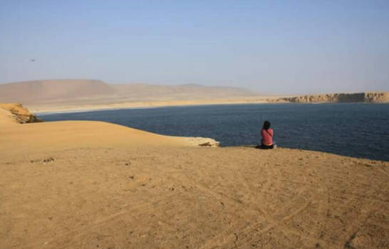 Peru - Paracas NP