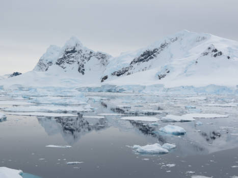 Antarctica - Paradise Bay