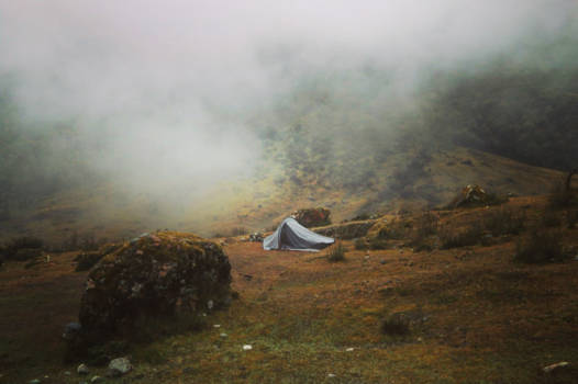 Peru - Just us, the wind and a fox in the mist on the salkantaytrail