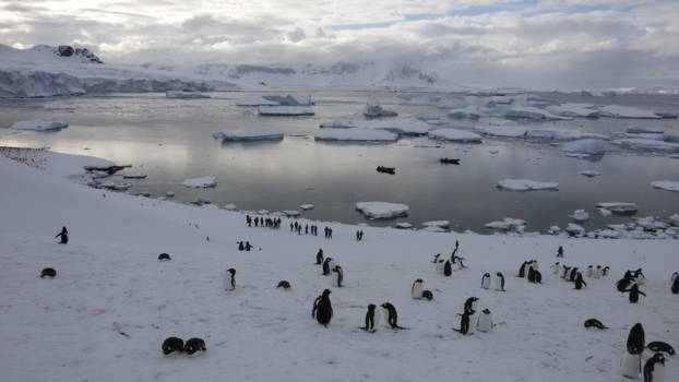 Antarctica - Zonder woorden.....