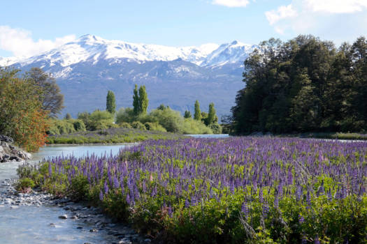 Chili - Carretera Austral