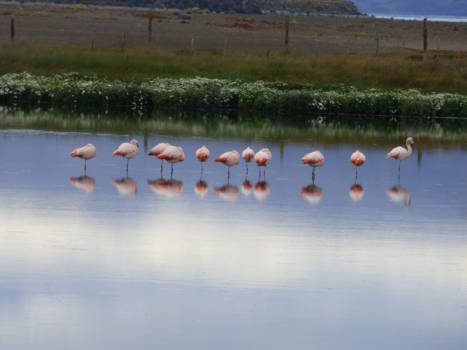 Argentinië - verstild leven