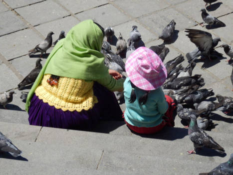 La Paz - Mixed colors