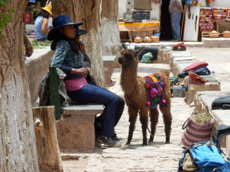 Quebrada de Humahuaca - Attention please..