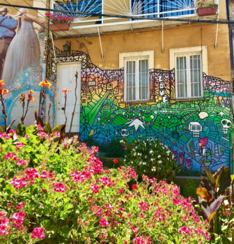 Chili - Kleur zorgt voor een lach 