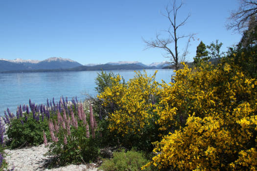 San Carlos de Bariloche - Argentijns Zwitserland
