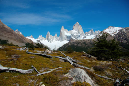 Los Glaciares National Park - Lente in Los Glaciares National Park