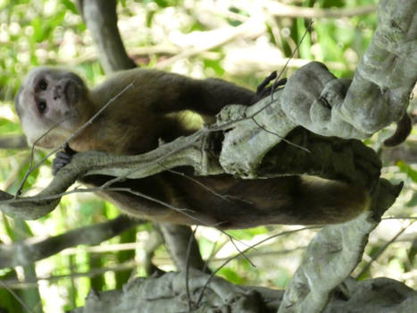 Colombia - Tayrona NP