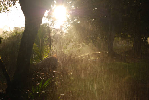 Suriname - Regen en zon in Suriname  :-)