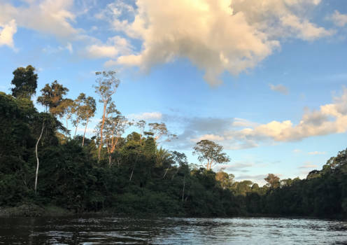 Suriname - Bijna avond in  Kabalebo