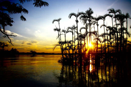 Ecuador - Zonsondergang Cuyabena Amazone Ecuador