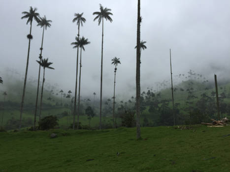 Colombia - Op 4000 meter hoogte...