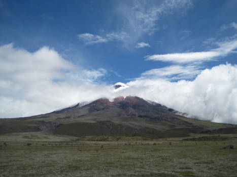 Ecuador - vulkaan Cotopaxi