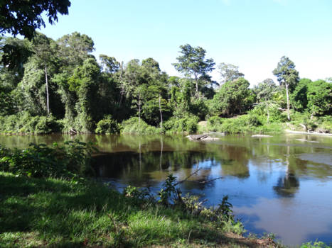 Suriname - De binnenlanden van Suriname