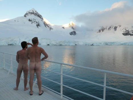 Antarctica - Antarctica, Antarctische Oceaan, Almirante Brown. " Watching our fellow travellers"