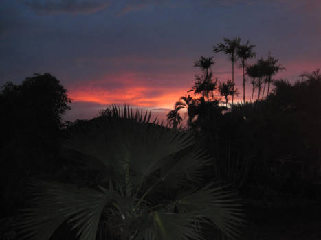 Suriname - Zonsondergang vanaf het balkon.......