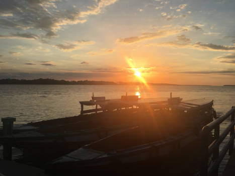 Plantages Commewijne - Dolfijnen spotten met zonsondergang
