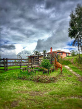 Ecuador - King of the Andes