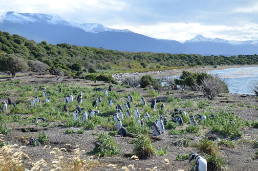 Argentinië - The most beautiful peace of earth