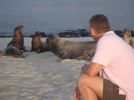 Galápagos eilanden - geniet maar laat ze met rust