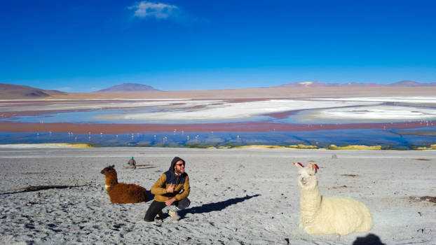 Bolivia - Lama's pesten. #bolivia