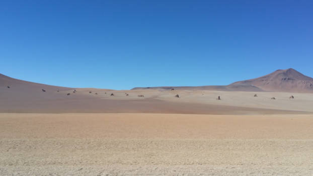 Bolivia - Dali dessert